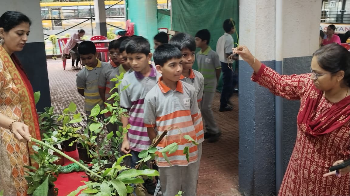 Gardening Sessions